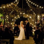 Winter garden wedding December 31 2011
