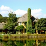 Ashland Springs Estate 2