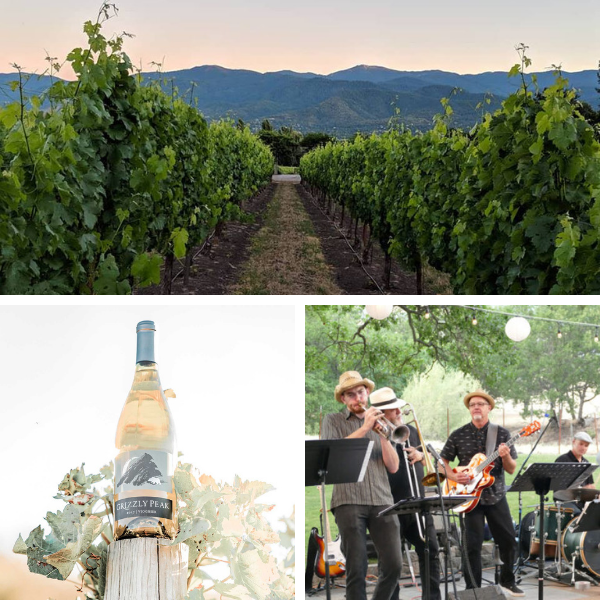 grizzle peak winery