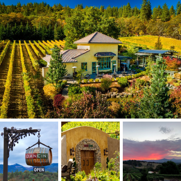 DANCIN Vineyards DANCIN Vineyards