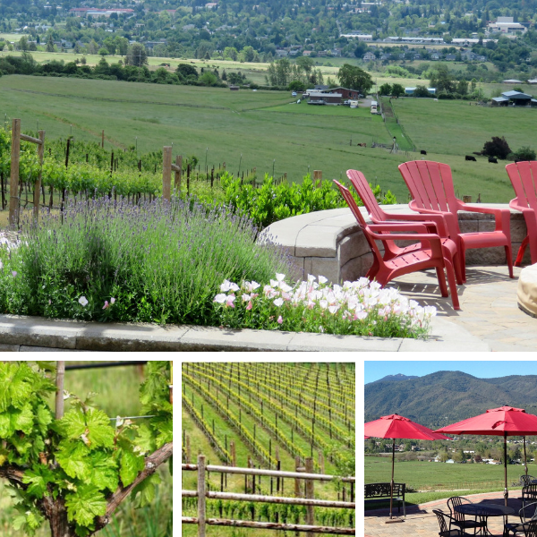 Dana Campbell Vineyard Dana Campbell Vineyard