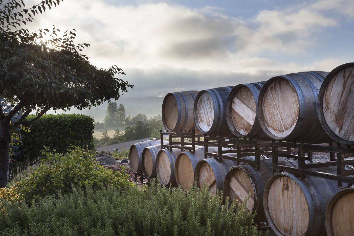 Wine enthusiasts, now is your time to discover the Rogue Valley wine region on your own terms. Experience one of the most diverse regions in Oregon and named the “next Napa” by Vogue.com. View Details