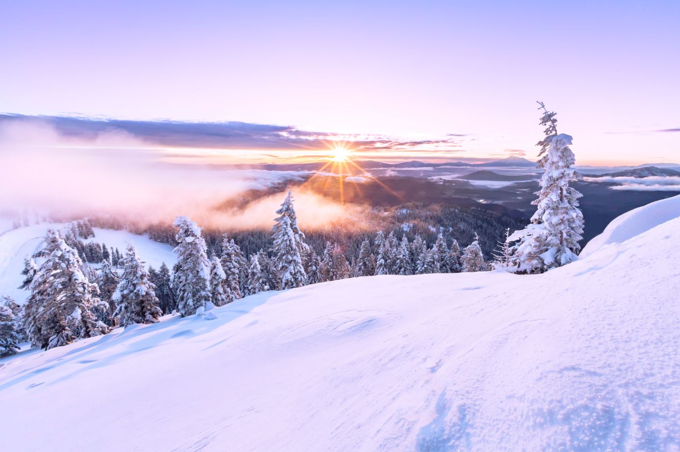 Mt. Ashland Ski Area is the pinnacle of winter snow recreation in Southern Oregon. Enjoy downhill skiing, snowboarding, and cross country skiing just a short drive from town, or head to one of our mountain lakes for a snowshoeing adventure. There is also a community ice skating rink in Ashland’s beloved Lithia Park, Festival of Light, snowmobiling and fishing at Lake of the Woods and Diamond Lake.Learn More