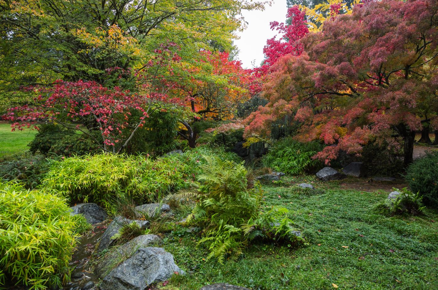 lithia park