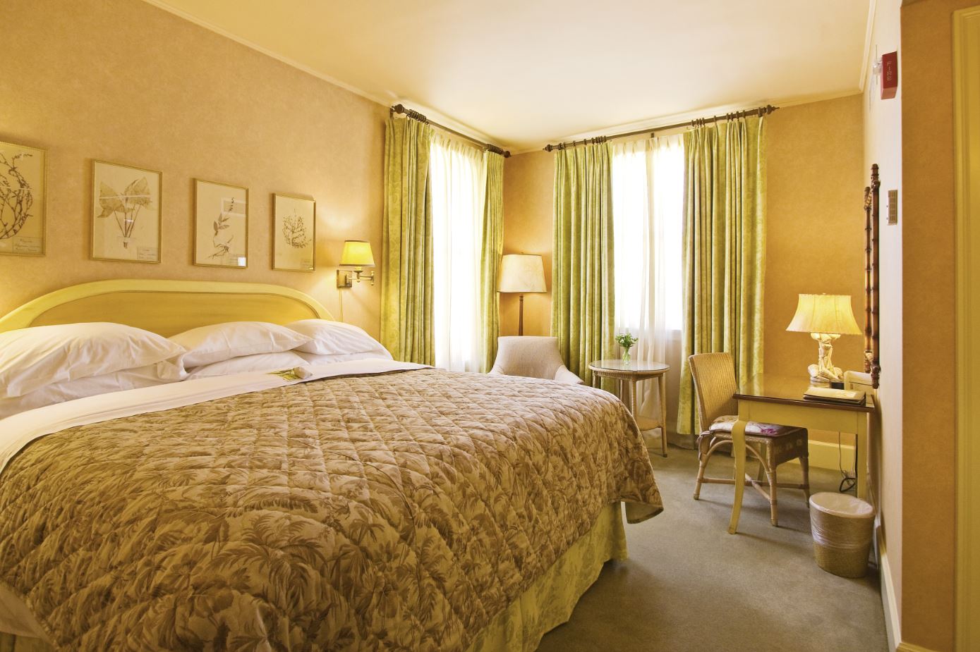 Parlor King Ashland Springs Hotel