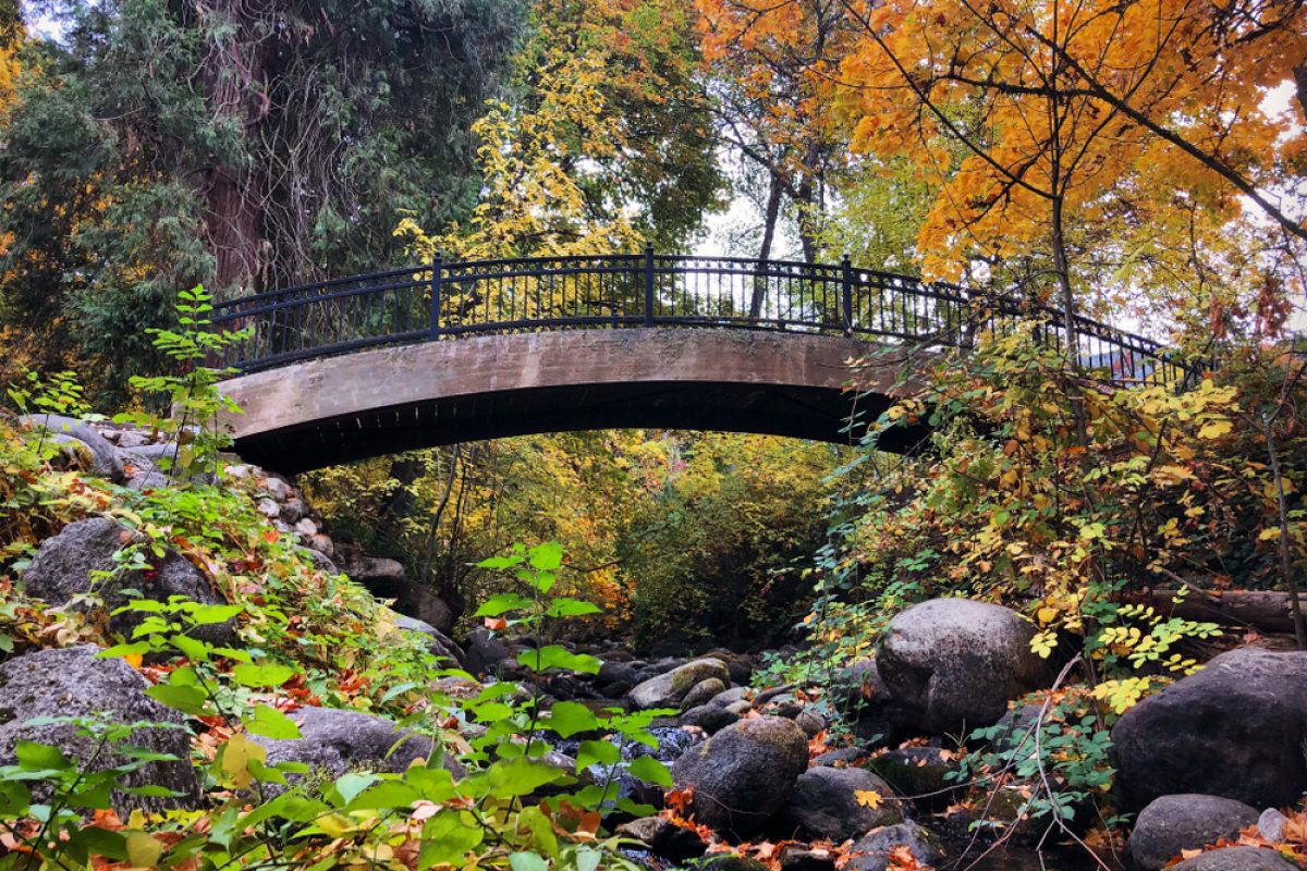 Fall,Bridge,At,Lithia,Park,,Ashland,,Oregon