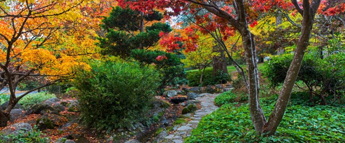 Experience a rejuvenating Fall escape in the heart of Ashland. This overnight package combines indulgent services at Waterstone Spa with a stay at the historic Ashland Springs Hotel, offering the perfect blend of tranquility and comfort. View Details